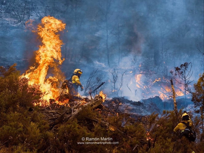 Efectivos del Infoca luchando contra el fuego en Los Guájares (PLAN INFOCA) 