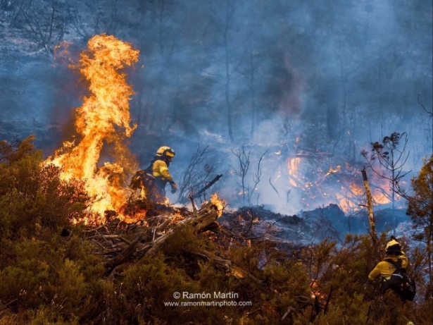 Efectivos del Infoca luchando contra el fuego en Los Guájares (PLAN INFOCA) 