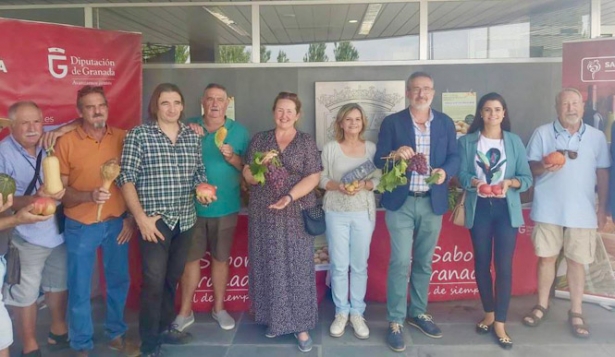 Presentación de la feria hortofrutícola de Nigüelas (DIPGRA) Presentación de la feria hortofrutícola de Nigüelas (DIPGRA)