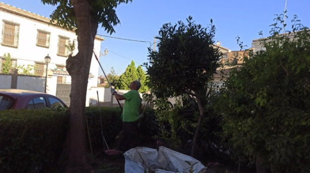 Imagen del programa municipal de empleo y formación de jardinería (AYUNTAMIENTO)