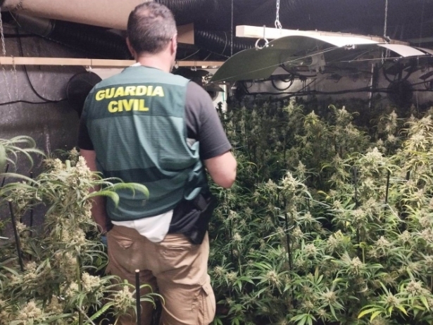 Plantación de marihuana, en imagen de archivo (GUARDIA CIVIL)