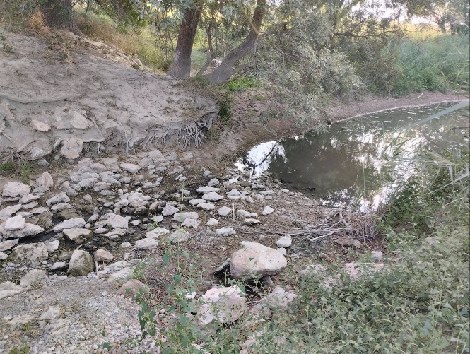 Río Guardal, en término de Benamaurel (VECINOS EN DEFENSA DEL RÍO GUARDAL) 