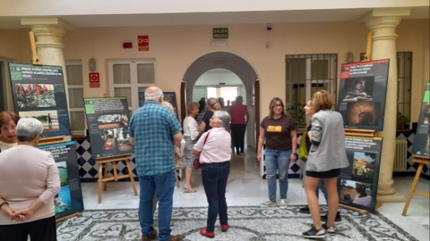 (AYUNTAMIENTO MONACHIL) 