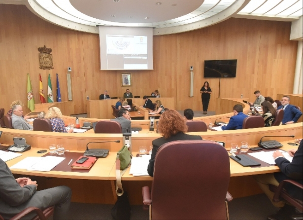 Pleno de Diputación (DIPGRA) Pleno de Diputación (DIPGRA)