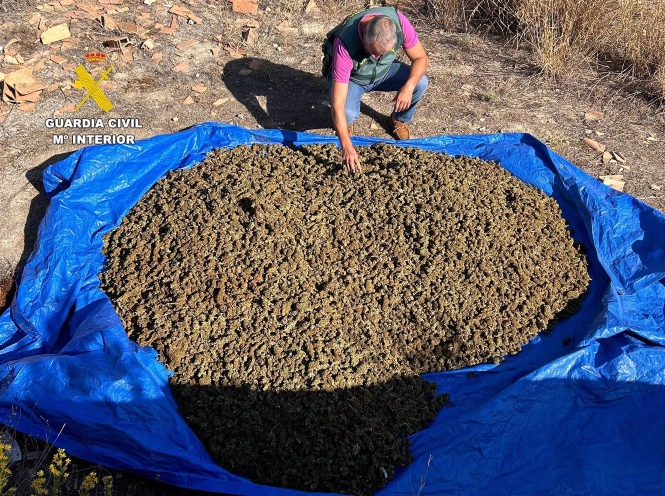 Hallados 55 kilos de marihuana en una vivienda en construcción abandonada en Las Gabias (GUARDIA CIVIL)