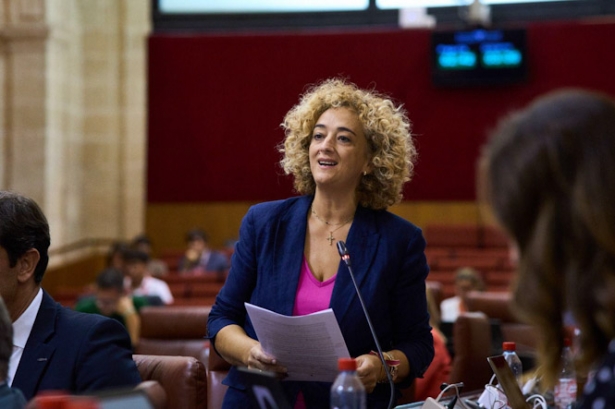 La parlamentaria andaluza del PP, Rosa Fuentes (PP) La parlamentaria andaluza del PP, Rosa Fuentes (PP)