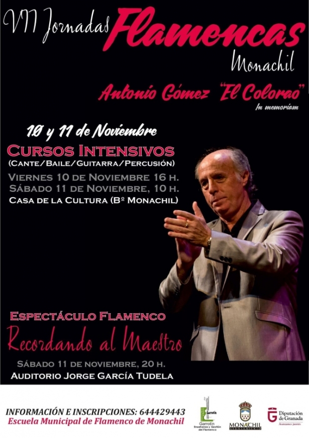 (AYUNTAMIENTO MONACHIL)