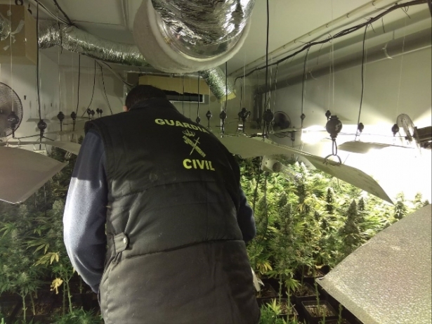 Decomiso de marihuana en la provincia de Granada (GUARDIA CIVIL) 