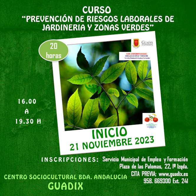 (AYUNTAMIENTO GUADIX)