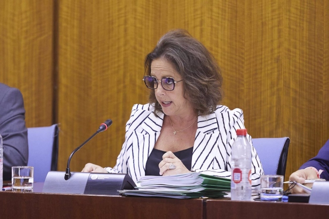 La consejera de Salud y Consumo, Catalina García, en imagen de archivo (JOAQUIN CORCHERO / PARLAMENTO DE ANDALUCIA)
