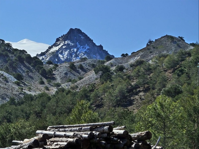 Cerro Huenes (TURISMO GRANADA) 