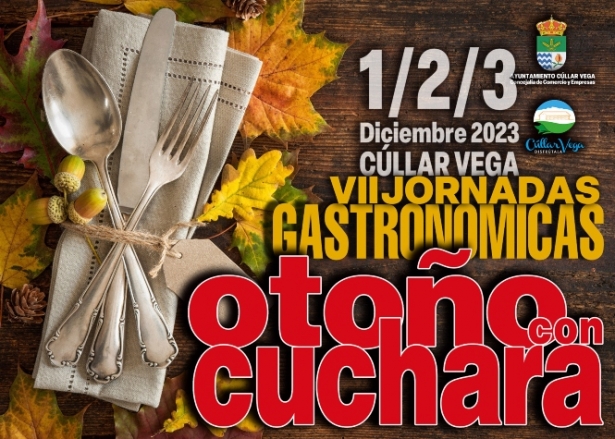 (AYUNTAMIENTO CÚLLAR VEGA)