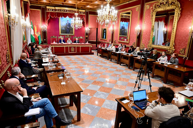 (AYUNTAMIENTO DE GRANADA)