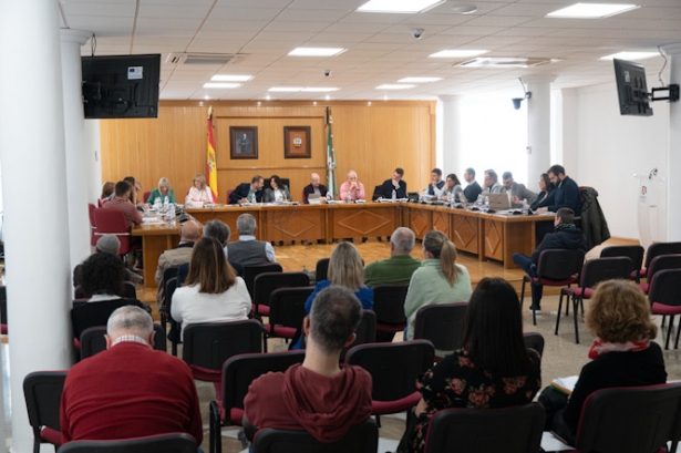 Pleno del ayuntamiento de armilla (AYTO. ARMILLA)