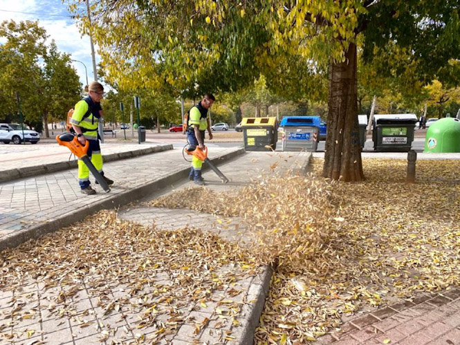 Recogida de hojas por operarios de Inagra, en imagen de archivo (INAGRA)