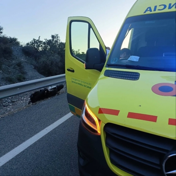 El vehículo del 061 en el lugar de los hechos junto a la motocicleta siniestrada bajo el quitamiedos de la carretera N-340 (061) 