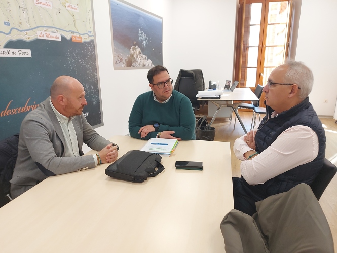 Imagen de la reunión (MANCOMUNIDAD)