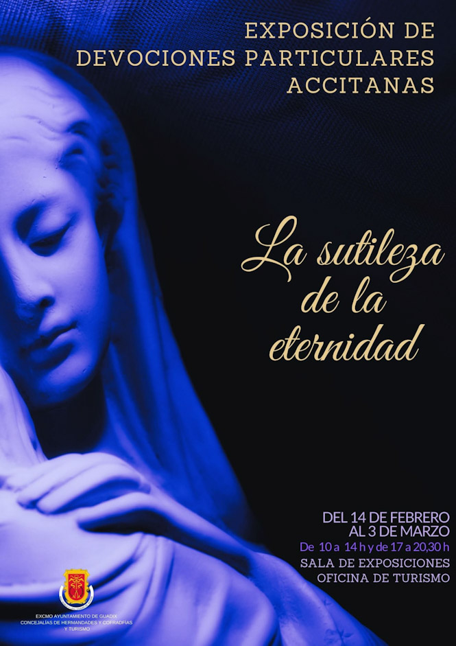 (AYUNTAMIENTO GUADIX)