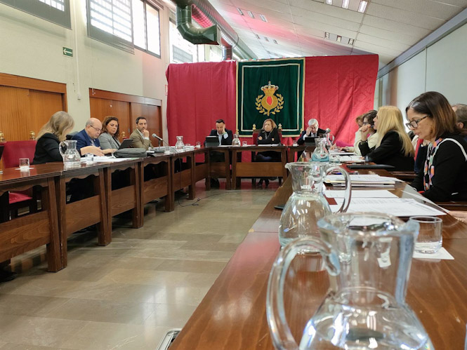 Comisión informativa de Economía en el Ayuntamiento de Granada (EUROPA PRESS)