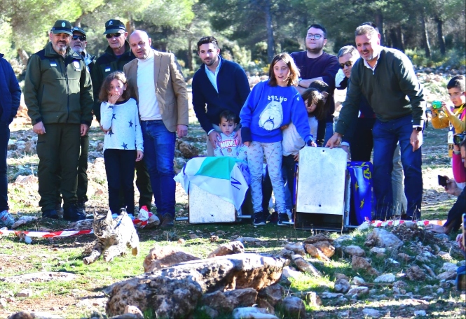 Suelta de lince ibérico (JUNTA) 