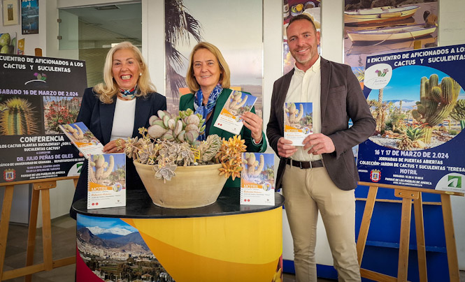 (AYUNTAMIENTO MOTRIL)