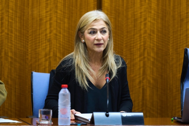 La consejera de Desarrollo y Formación Profesional, Patricia del Pozo (JUNTA) La consejera de Desarrollo y Formación Profesional, Patricia del Pozo (JUNTA)