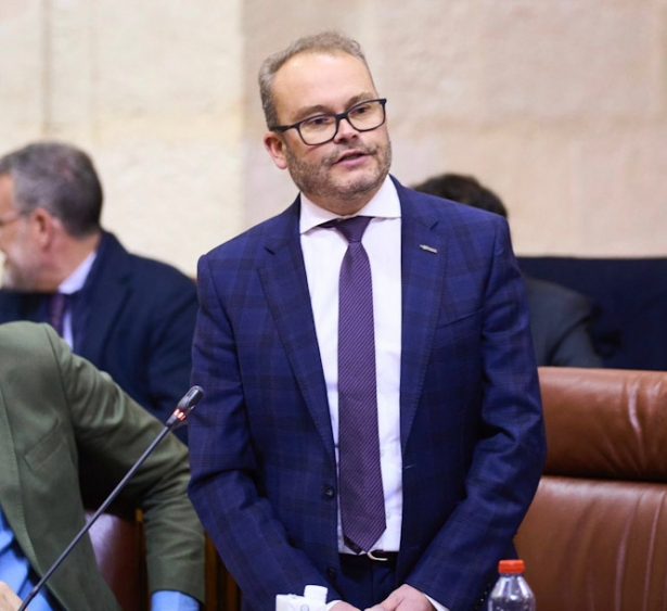 El parlamentario andaluz del PP, Mariano García (PP) El parlamentario andaluz del PP, Mariano García (PP)