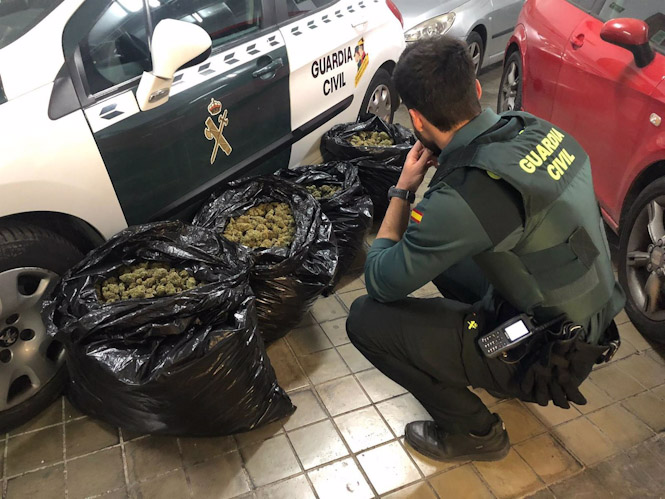 La marihuana intervenida por los agentes (GUARDIA CIVIL)