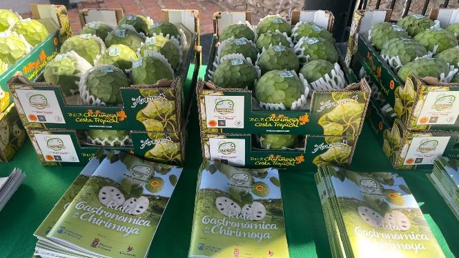 (AYUNTAMIENTO ALMUÑÉCAR)