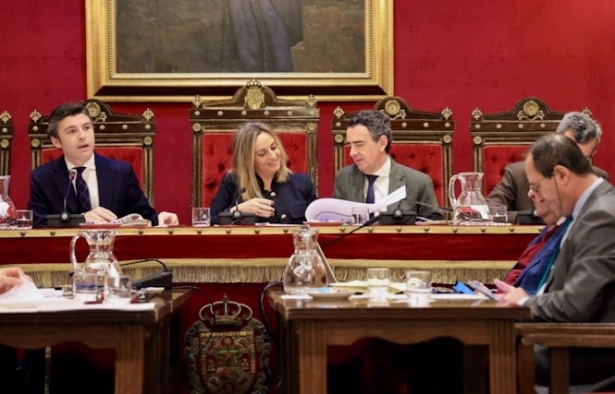 Pleno del Ayuntamiento de Granada, en imagen de archivo (AYUNTAMIENTO DE GRANADA)