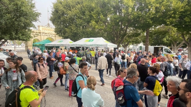 Dispositivo de búsqueda (AYTO. ALMUÑÉCAR) 