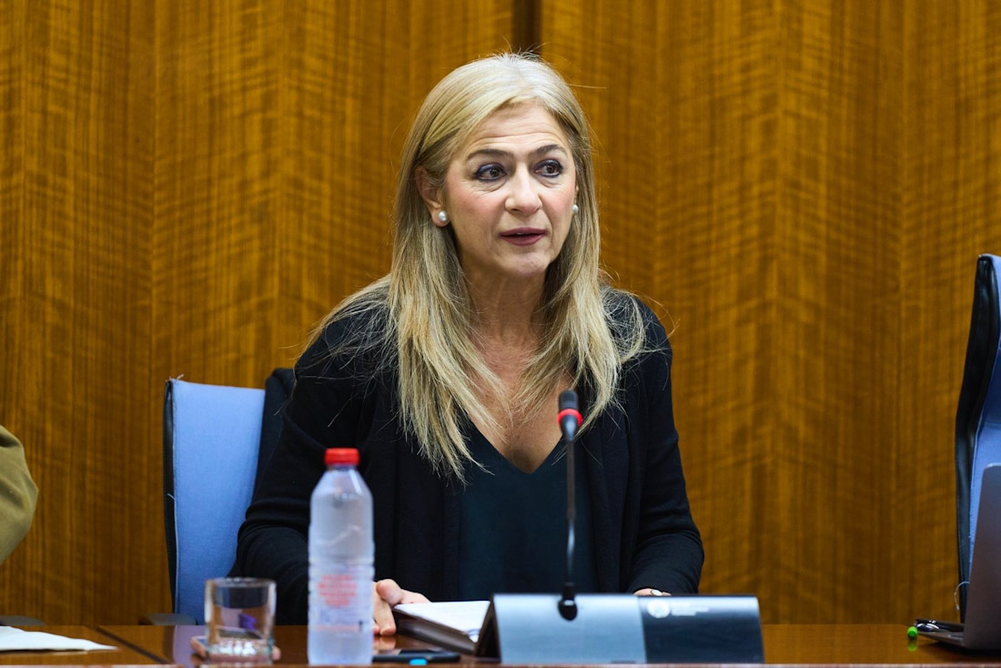 La consejera de Desarrollo y Formación Profesional, Patricia del Pozo (JUNTA)