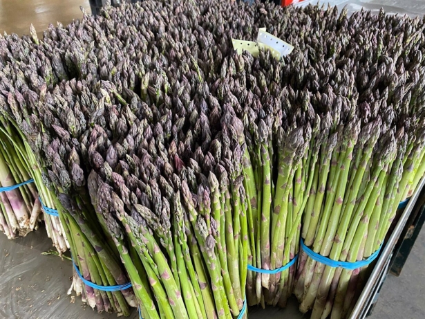 Manojo de espárragos verdes, en imagen de archivo (COOPERATIVAS AGRO-ALIMENTARIAS) Manojo de espárragos verdes, en imagen de archivo (COOPERATIVAS AGRO-ALIMENTARIAS)