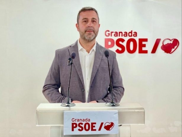 (PSOE) (PSOE)