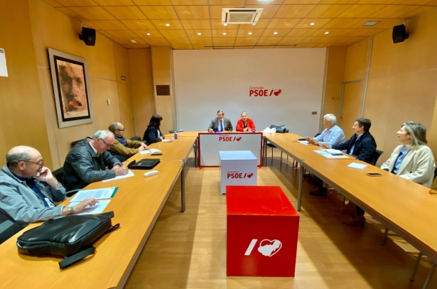 (PSOE) (PSOE)