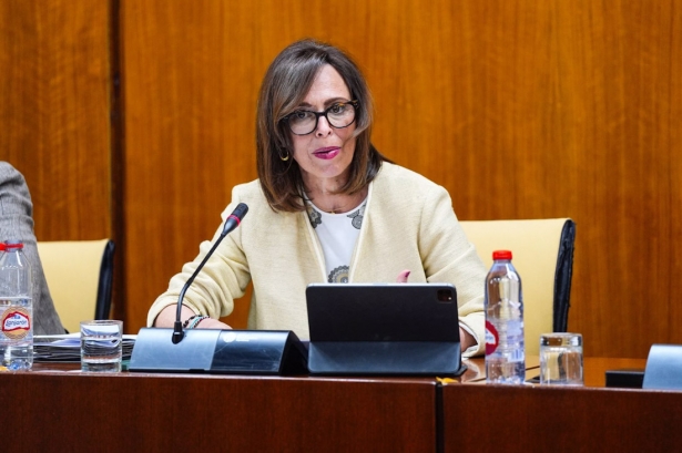 La consejera de Fomento de la Junta de Andalucía, Rocío Díaz, en la comisión del 9 de mayo en el Parlamento andaluz (JOAQUIN CORCHERO / PARLAMENTO DE ANDALUCIA) La consejera de Fomento de la Junta de Andalucía, Rocío Díaz, en la comisión del 9 de mayo en el Parlamento andaluz (JOAQUIN CORCHERO / PARLAMENTO DE ANDALUCIA)