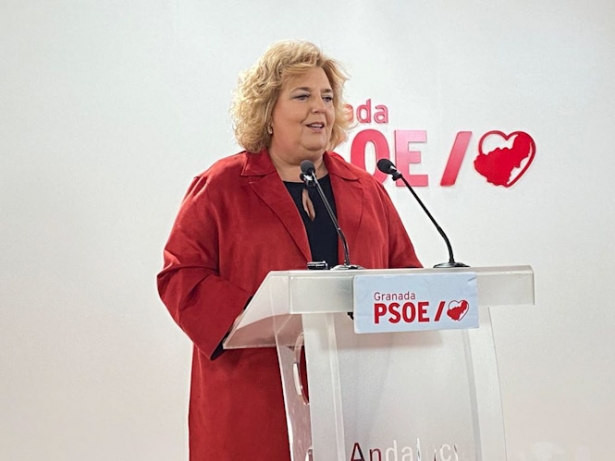 La portavoz del grupo socialista en la Diputación de Granada, Fátima Gómez (PSOE) La portavoz del grupo socialista en la Diputación de Granada, Fátima Gómez (PSOE)
