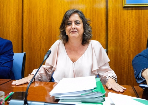 La consejera de Salud y Consumo de la Junta de Andalucía, Catalina García, en la comisión parlamentaria de este miércoles (JOAQUIN CORCHERO / PARLAMENTO DE ANDALUCIA) La consejera de Salud y Consumo de la Junta de Andalucía, Catalina García, en la comisión parlamentaria de este miércoles (JOAQUIN CORCHERO / PARLAMENTO DE ANDALUCIA)