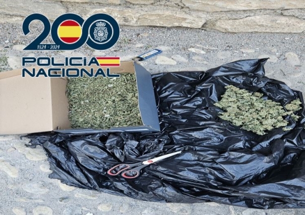 Marihuana en caja de zapatos (POLICIA NACIONAL)