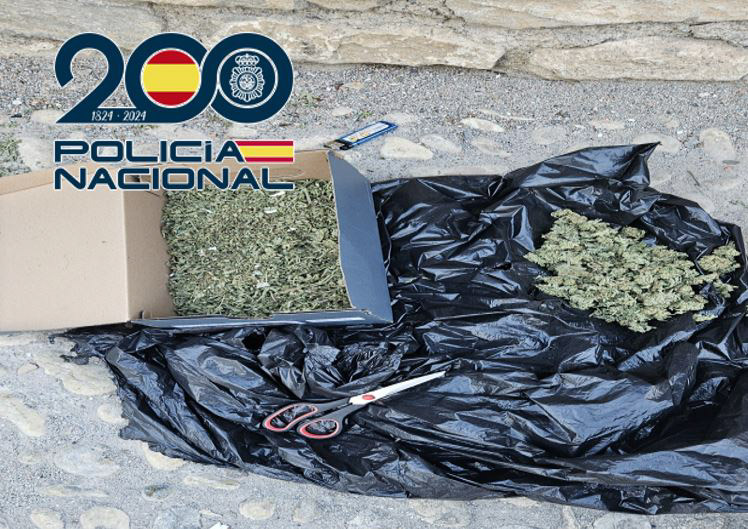 Marihuana incautada (POLICÍA NACIONAL)