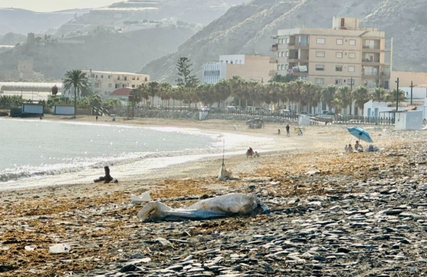 Playa de Albuñol (PP)