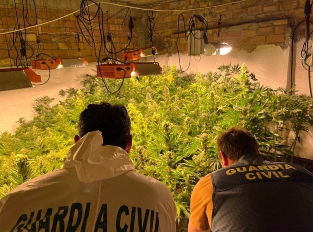 Operación de la Guardia Civil contra la producción de marihuana en Loja (GUARDIA CIVIL) Operación de la Guardia Civil contra la producción de marihuana en Loja (GUARDIA CIVIL)