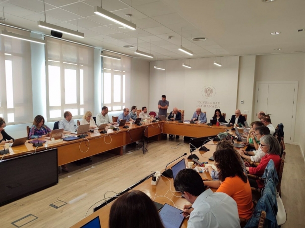 Consejo de Gobierno de la UGR )UGR)