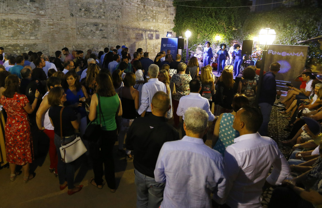 Edición anterior de los conciertos (ICAGR)