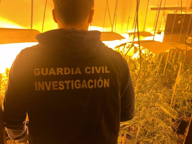 Cultivo de marihuna desarticulado por la Guardia Civil. (GUARDIA CIVIL) Cultivo de marihuna desarticulado por la Guardia Civil. (GUARDIA CIVIL)