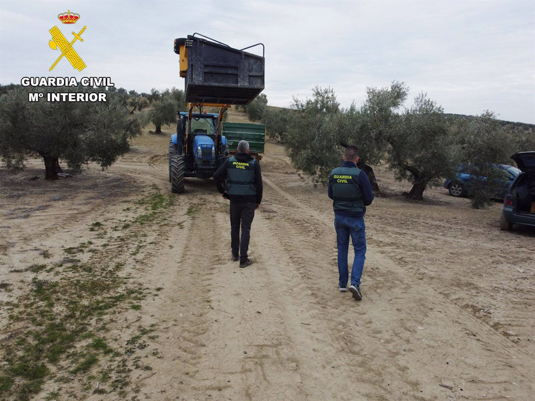 Agentes de la Guardia Civil en una finca. (GUARDIA CIVIL)