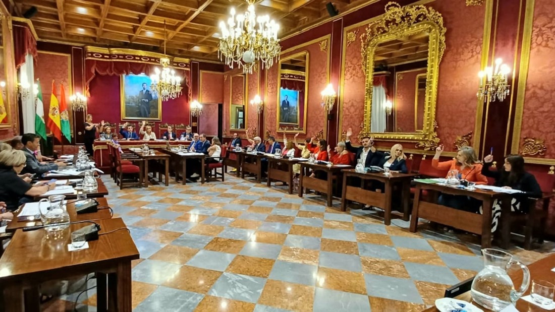 Pleno del Ayuntamiento de Granada (VOX)