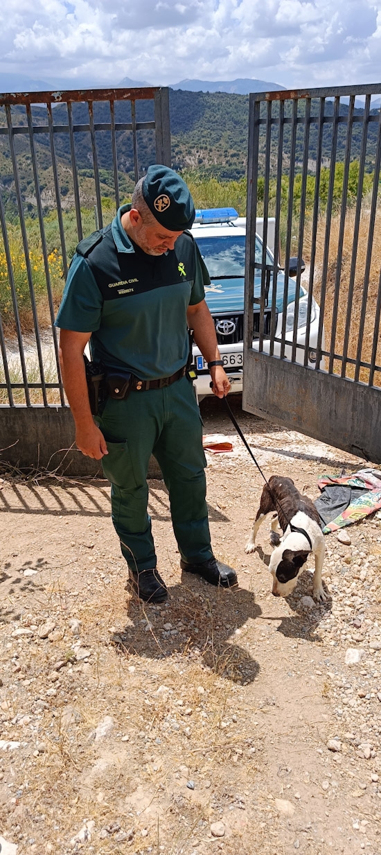 Agente de la Guardia civil (GUARDIA CIVIL) Agente de la Guardia civil (GUARDIA CIVIL)