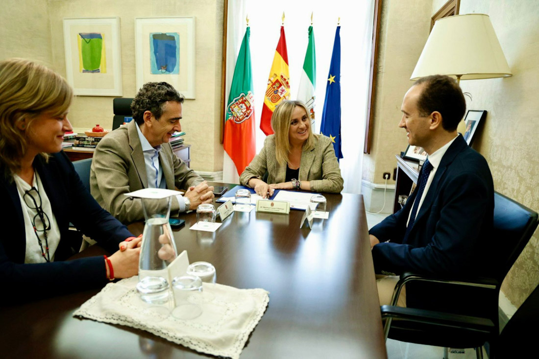 Imagen de la reunión (AYTO. GRANADA)