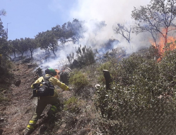Bomberos del Infoca trabajan en la extinción de un incendio. Archivo (JUNTA DE ANDALUCÍA) Bomberos del Infoca trabajan en la extinción de un incendio. Archivo (JUNTA DE ANDALUCÍA)